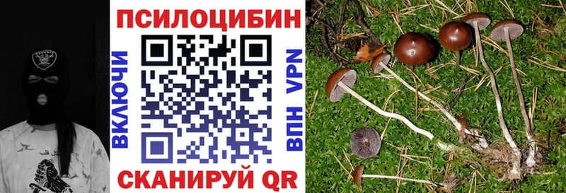 Купить Егорьевск Псилоцибиновые грибы Psilocybine cubensis
